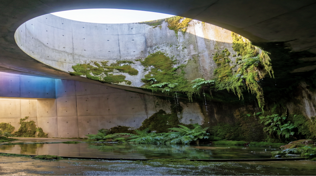 Open circular garden-like chamber